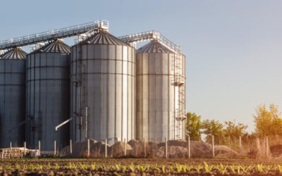 feed bins - silos at dusk